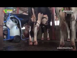 ေျပာင္းလဲလာသည့္ ႏြားႏို႔ေစ်းကြက္