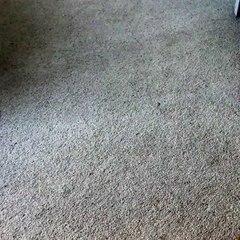 James McAvoy se prépare pour X-Men : Dark Phoenix