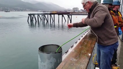 Boru içinde mahsur kalan üç martıyı kurtarma çabaları