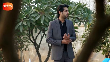 Apnay - Episode 36 - SEE TV