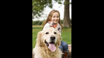 Inessa Pet Sitting Service -(919) 348-6327