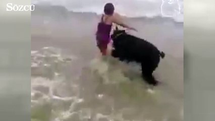 Gözleri yaşartan fedakar köpek