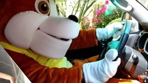 Rubble the Paw Patrol Pup Makes a Mess & Goes to McDonalds Drive Thru ~ Kid Shows