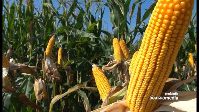 Poljoprivredna emisija Svet poljoprivrede - 492. epizoda