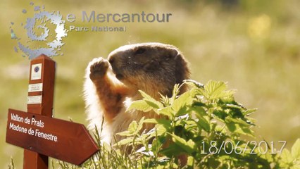 18/06/2017 Rando Montagne : Baisse des 5 lacs