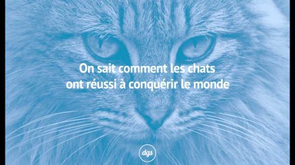 On sait comment les chats ont réussi à conquérir le monde