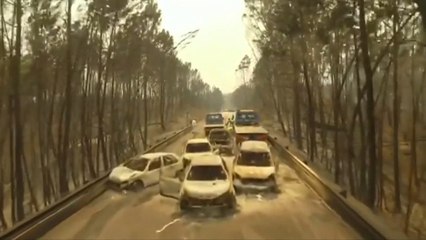 Drone footage shows aftermath of Portugal's deadliest forest fire