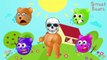 Wrong Heads, Mega Gummy Bear crying, Finger family song Nursery Rhymes, Learn Colors For K