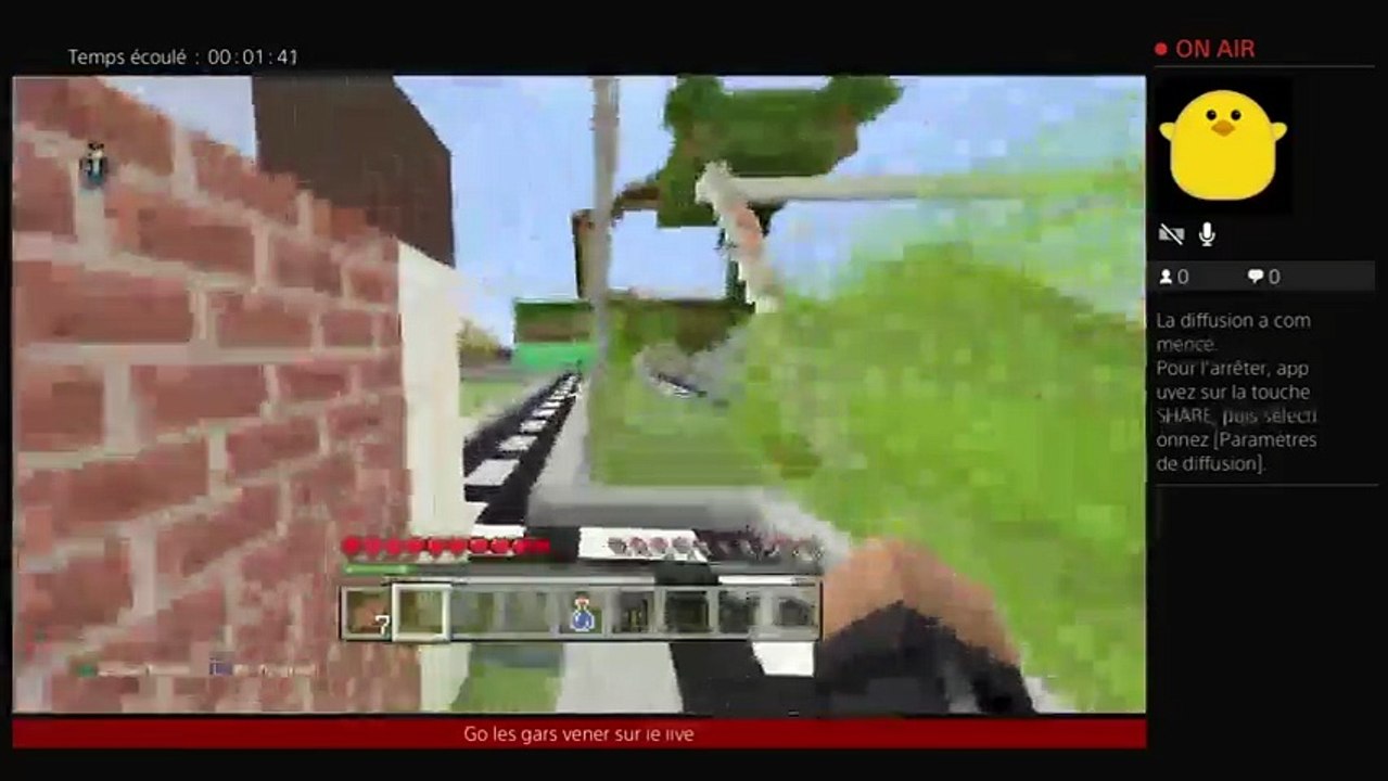 RP sur Minecraft (51)