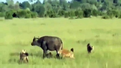 Umutsuzluga düşme hic bir zaman kaderin üstünde bir kader var