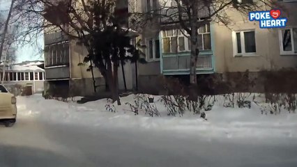 Kind Driver Helps Woman Cross Icy Road Video 2017 - Daily Heart Beat