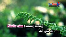 Dấu Tình Sầu - Ngọc Huệ KARAOKE BEAT CHUẨN✔