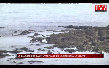 Quel avenir pour les eaux du littoral de Nouvelle-Aquitaine ?