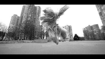 Ce performer danse dans paris avec un costume incroyable...