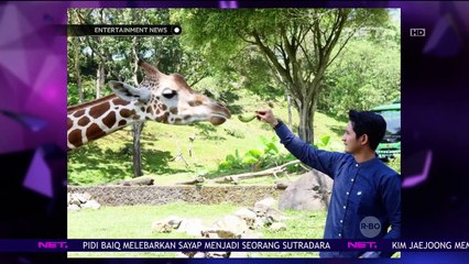 Lepaskan Penat Saat Bekerja, Chand Kelvin Memberikan Makan Buaya