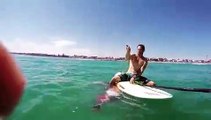 Ce poulpe géant piégé dans un filet vient demander de l'aide à un surfeur... Incroyable