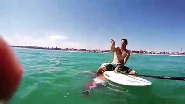 Ce poulpe géant piégé dans un filet vient demander de l'aide à un surfeur... Incroyable