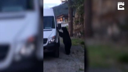 Va falloir arreter de prendre les ours pour de idiots... Hein!