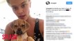 Nina Agdal Gets New Puppy For Breakup Therapy