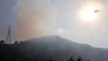 Hatay'da Orman Yangını... 25 Hektar Alan Zarar Gördü