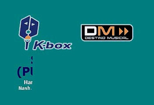 Beyonce - Single Ladies (Put A Ring On It) (Karaoke)