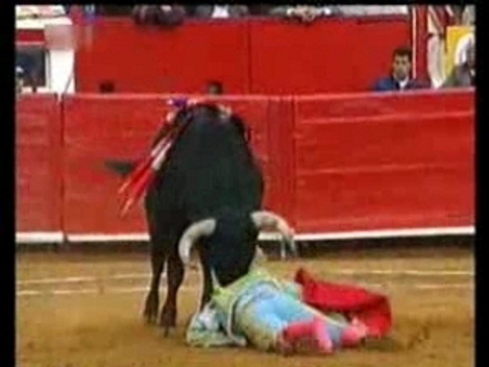 Toro