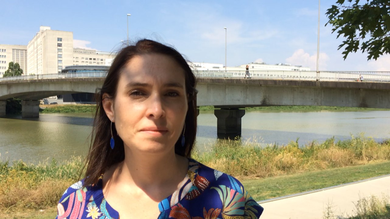 The Bridge