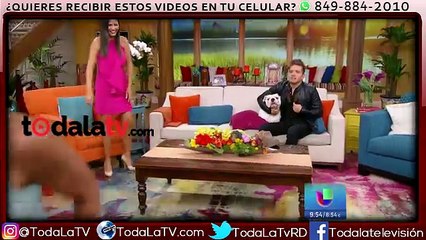 Perro muerde a Francisca Lachapel-Despierta América-Video