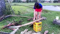 Beautiful Girl Cooking a Big Fish in Rice Field How to Make Fish Food Village food my food