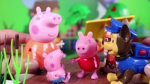 Peppa Pig Juguetes en Español 28  George se cae a la piscina y lo salva la patrulla canin