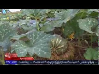 Business TV Weekly No.30 (28 December, 2013)