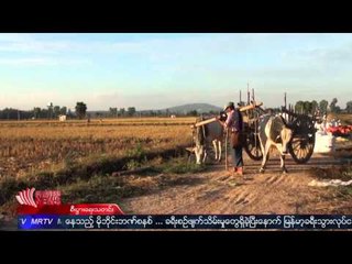 Inadequate foreign investment level in Myanmar's agricultural sector
