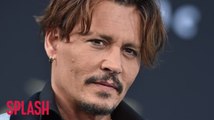 Johnny Depp Refused to Sell His Private Plane