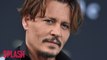 Johnny Depp Refused to Sell His Private Plane