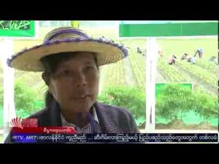 Business TV Weekly No.25 (23 November, 2013)