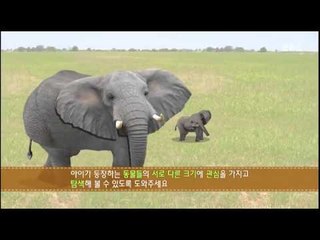 모야 모야 - Moya Moya_크다 작다_#001