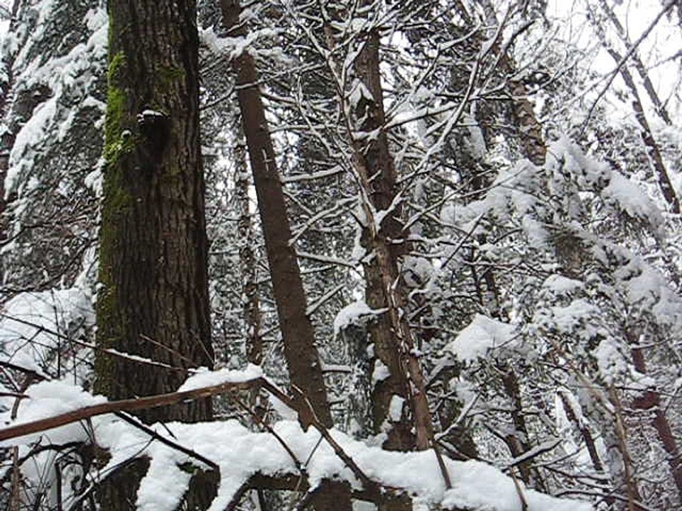 tour de neige