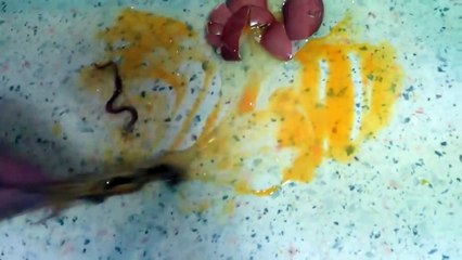 How To Perform a Striptease