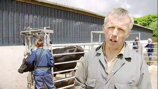 BBC News_This farm in Narberth, Pembrokeshire, is free of TB but testing continues 20Jun17
