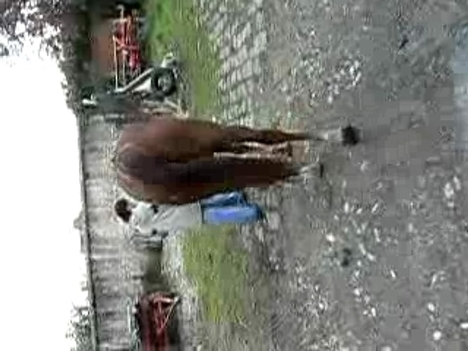 koba marche