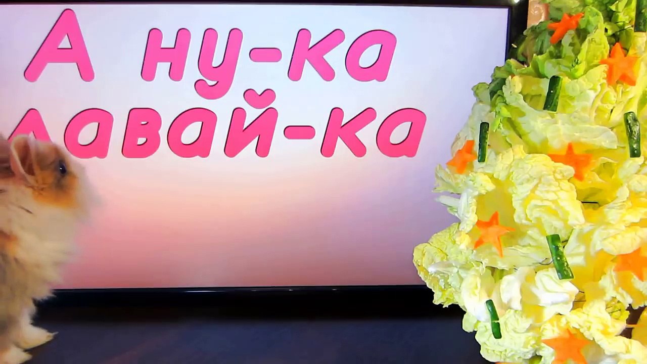 КРОЛИК БАФФИ И ШОКОЛАДНЫЙ ТОРТ ИЗ M&MS ! А ну ка Давай ка СЛИШКОМ МНОГО ШОКОЛАДА! LOTS OF