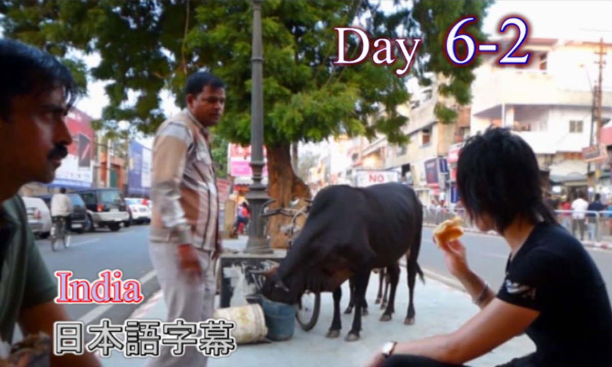 d6-2,字幕付き,インド旅行,バラナシ,デリー,電車,寝台列車,夜のインド,名古屋ホストクラブ社長の海外旅行,जापान से भारत की यात्रा।