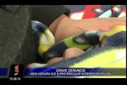 Jueza asegura que sufrió irregular intervención policial en la carretera