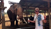 Elefante aprovechó la amabilidad de un turista para darse un baño