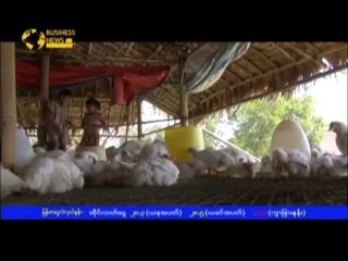 Mizzima TV Weekly, Business News No . 5 (Sat 2 February ,  2013)