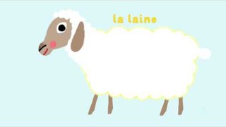 Le mouton - Découvre les animaux de la ferme avec Pinpin et Lili