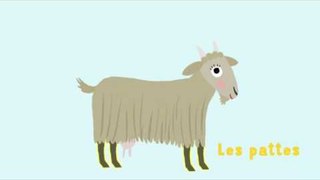 La chèvre - Découvre les animaux de la ferme avec Pinpin et Lili