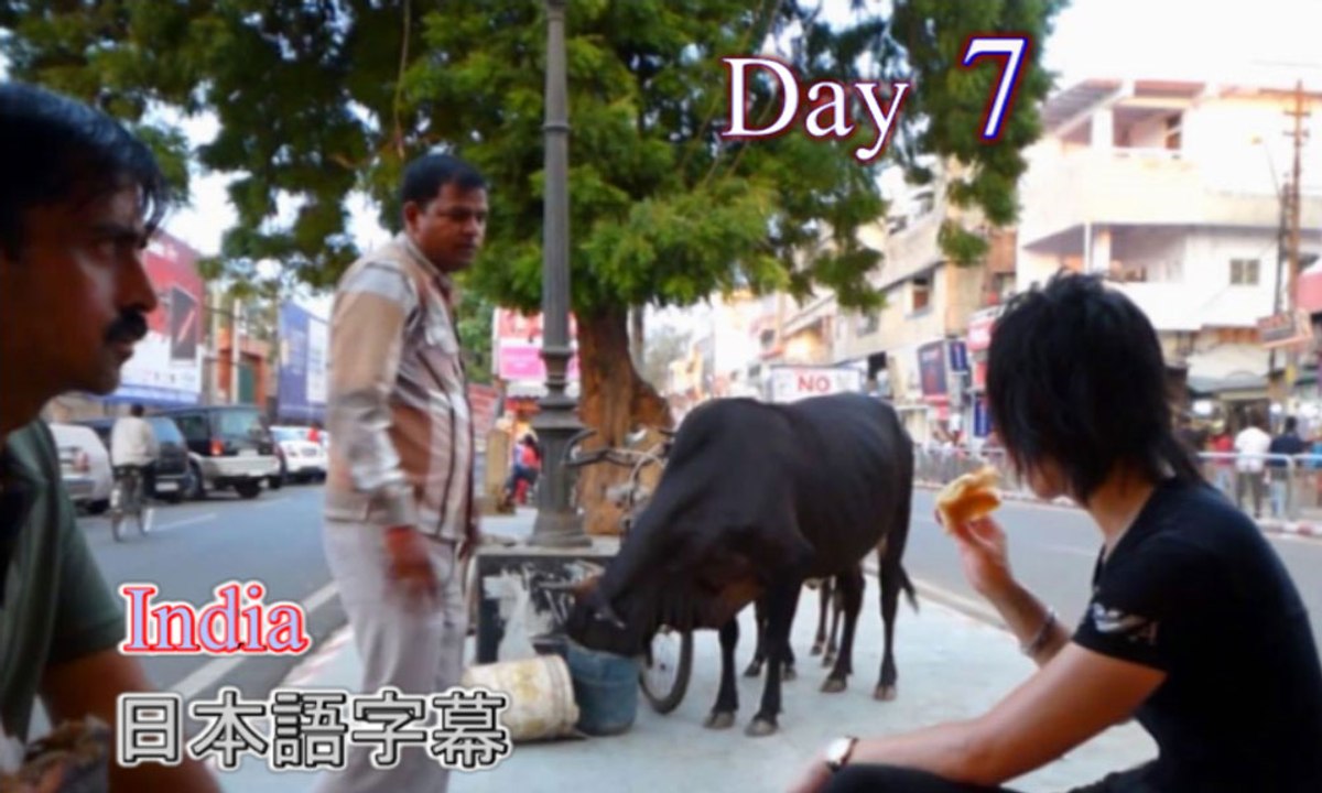 d7,字幕付き,インド旅行,ロード,デリー,名古屋ホストクラブ社長の海外旅行,जापान से भारत की यात्रा।