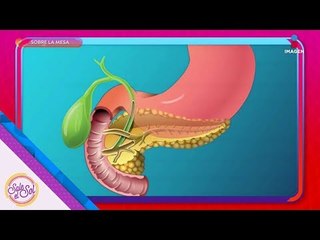 Un cáncer muy difícil de identificar: Cáncer de Páncreas | Sale el Sol