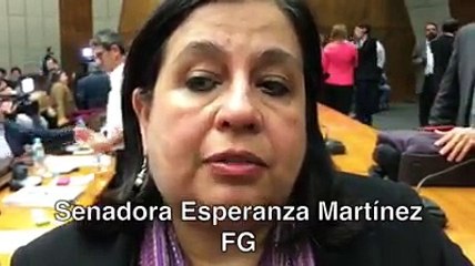 Senadores del Frente Guasú sobre impuesto a la soja